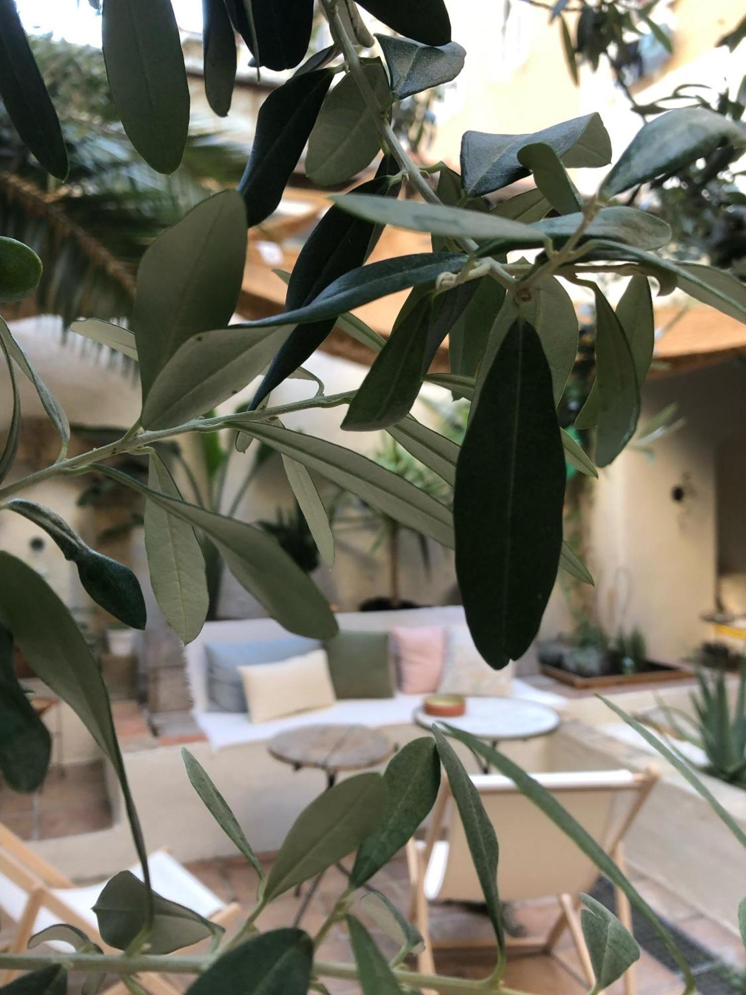 Maison Olea マルセイユ エクステリア 写真