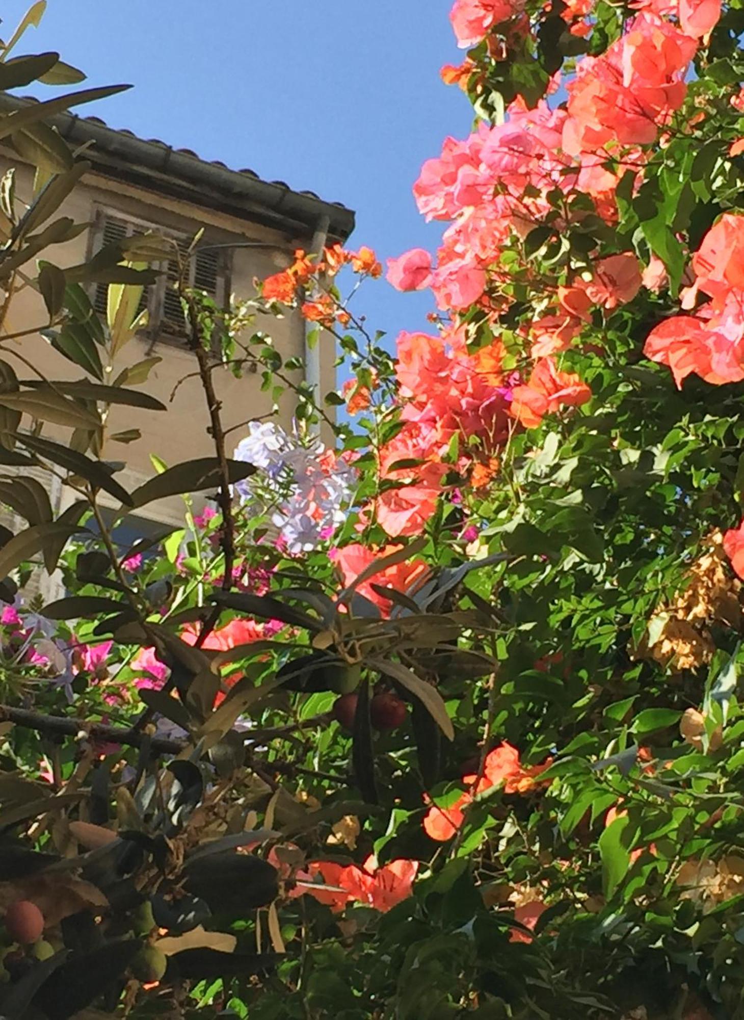 Maison Olea マルセイユ エクステリア 写真